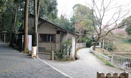 狭井神社への参道