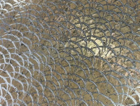 三日月模様の写真