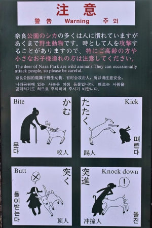 06.奈良公園２