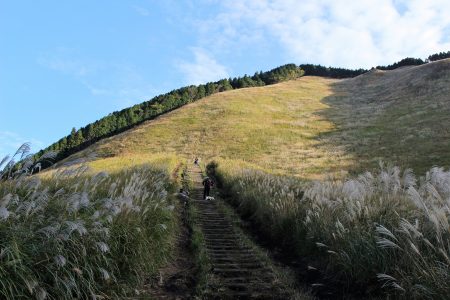 亀山峠へと登る山道の写真