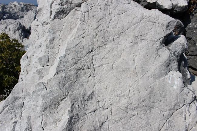 09.石灰岩ドアップの写真