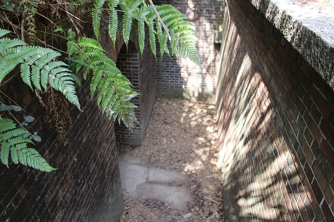 22.第三砲台跡(地下に降りる階段)の写真