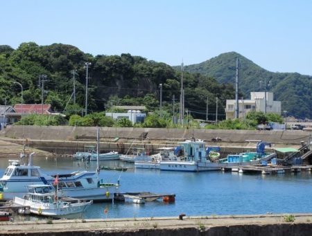 衣奈漁港の写真