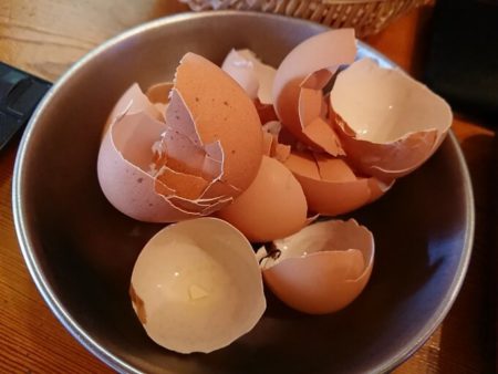 食べ終わった卵のからの写真