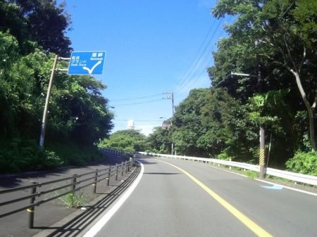 県道４１号線(潮岬へと通じる道)の写真