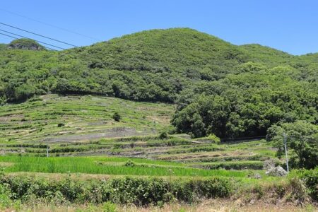 湯船山の山肌急斜面に造られた中山千枚田の写真