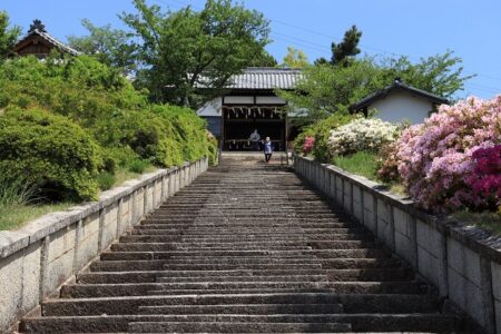 富丘八幡神社拝殿へとつづくまっすぐな石段の写真