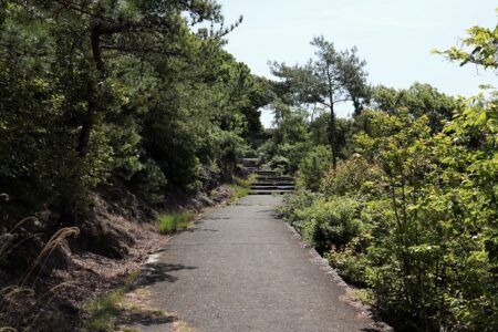 富丘八幡神社表参道の階段以外のところの写真