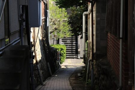 山本本家店先の写真