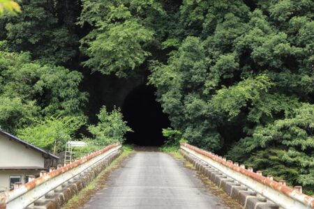 幻の五新鉄道コンクリート橋を路線上から見た写真