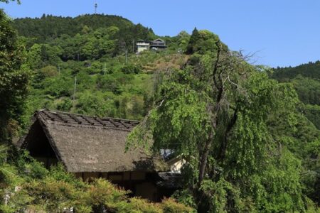 賀名生の里「皇居跡」の写真