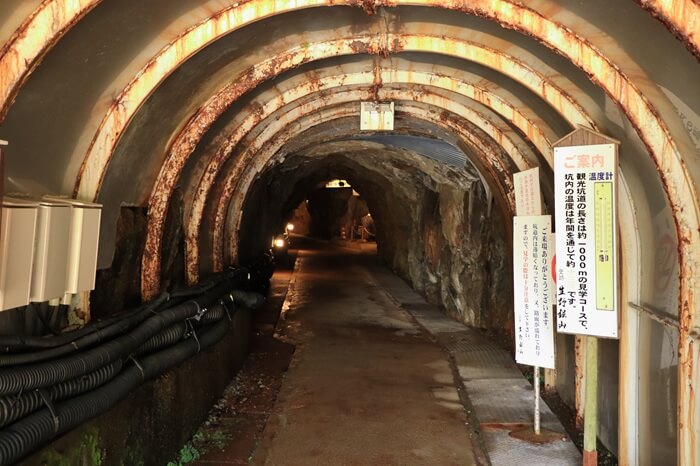 生野銀山坑口に入ったところの写真